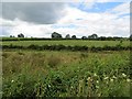 Fields near Garvagh