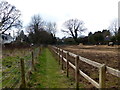 Enclosed footpath going west to Medstead