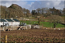 SN0802 : Pembrokeshire : Manor House Wildlife Park by Lewis Clarke
