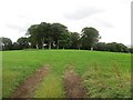 Field near Ballintemple Church