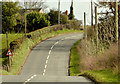 Whinney Hill near Holywood - March 2014(2)