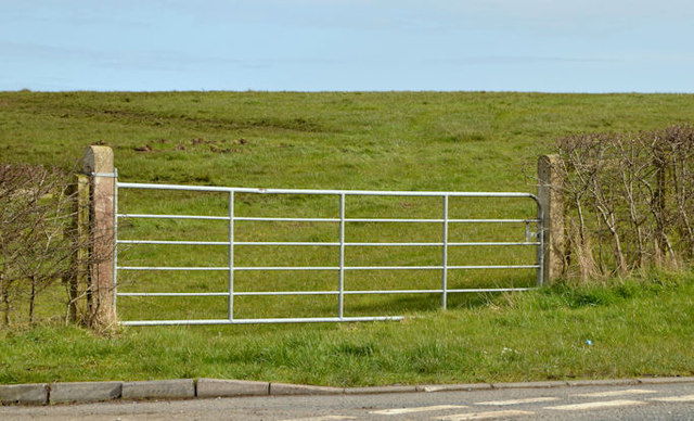 Field gate, Ballymenagh near Holywood