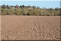 SO8834 : Ploughed field and Mythe Hill by Philip Halling