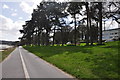 West Cross : Swansea Bay Cycle Path