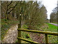 Footpath into Bushy Leaze Wood