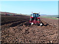 Tattie planting near Eyemouth