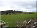 Farmland west of Llangoed