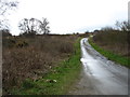 A minor road leading to Llanddona