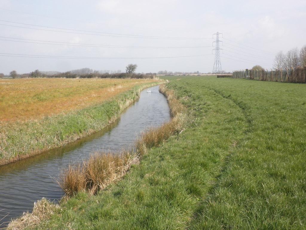 Black Ditch, Puriton Level © Roger Cornfoot cc-by-sa/2.0 :: Geograph ...