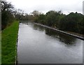 The Longford River