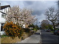 Holly Bush Lane, Hampton