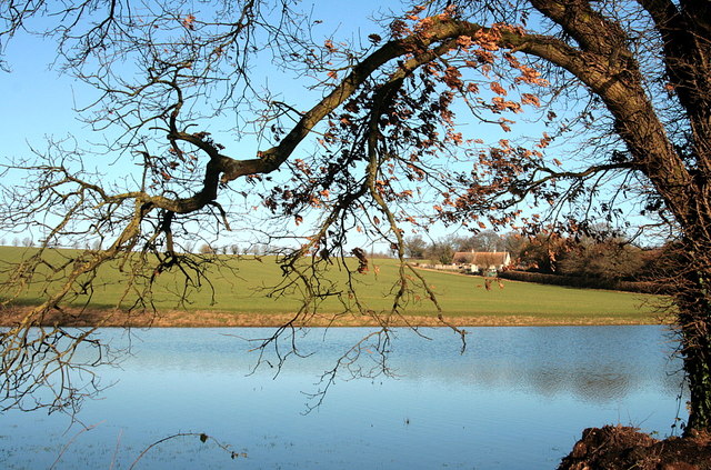 The winter pond, Bidden