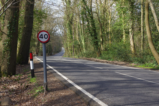 Old Lane Effingham Junction © Stephen Mckay Geograph Britain And Ireland 0196