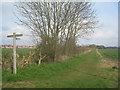 Bridleway to Lodge Lane