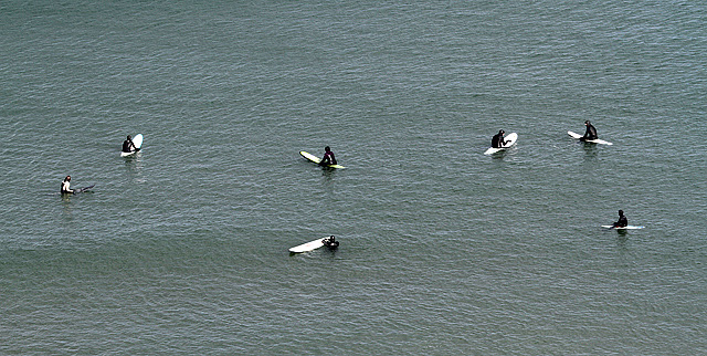 Surfers at Pease Bay