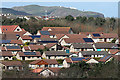 Houses at Eyemouth