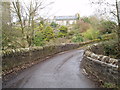 Narrow bridge over Fowlis Den