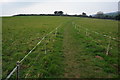 Footpath heading to Wembury Beach