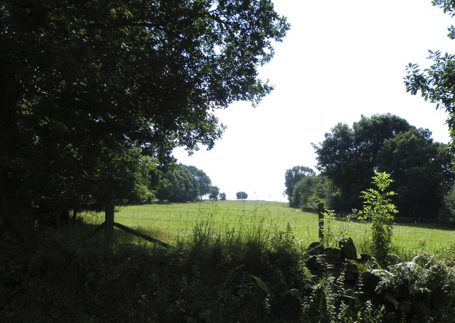 View from the Village Smithy, Mortimer Road, Midhopestones, near Stocksbridge - 1