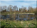 Pond near White Horse Health Centre, Westbury