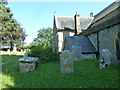 SY3995 : St Candida & Holy Cross, Whitchurch Canonicorum: churchyard (c) by Basher Eyre