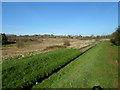 Dallington Brook