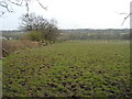 Fields by Beaumont Road, Wormley West End