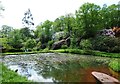 Pond at Lydney Park Gardens