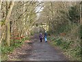 NZ1557 : Derwent Walk at Low Friarside by Oliver Dixon