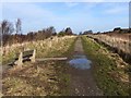 Start of the Bowes Railway Path