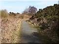 Bowes Railway Path at Mountsett