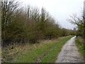 Path at the edge of Christophers Wood