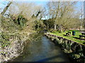 Willow Walk Nature Reserve stream