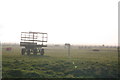 Horses in the mist at Lodge Farm