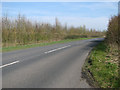 Hedge beside Harleston Road