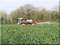 Oilseed rape crop by Goff