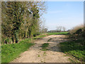 Footpath to Lawn Farm