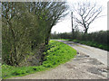 Ditch beside lane past Lodge Farm