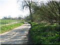 View towards The Greenways from Mill Lane