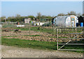 Allotment gardens beside the A143 road