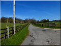 Footpath from Bighton Road to Grove Farm