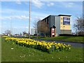 SJ3995 : Daffodils on the central reservation by Graham Hogg