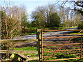 Footpath arrives at Holt End Lane