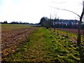 Footpath heading south west towards Bannbridge Farm