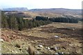 NC1602 : Rough grazing and shelter belt at Strath Canaird by Alan Reid