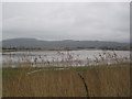 River Cree Estuary