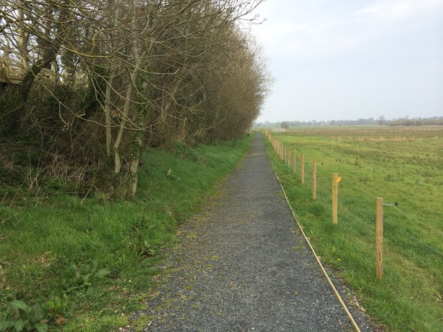 Trail to the birdwatching hide, Portmore Lough