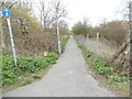 Path by Wells Road, Epsom