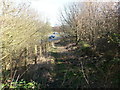 Bridleway as it heads down a bank to cross the A19 near Doxford Park Business Park