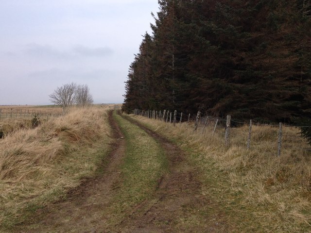 Farm track near Achfrish